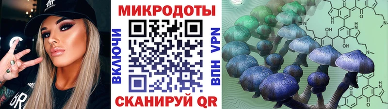 Псилоцибиновые грибы мицелий  блэк спрут сайт  Нижний Новгород 