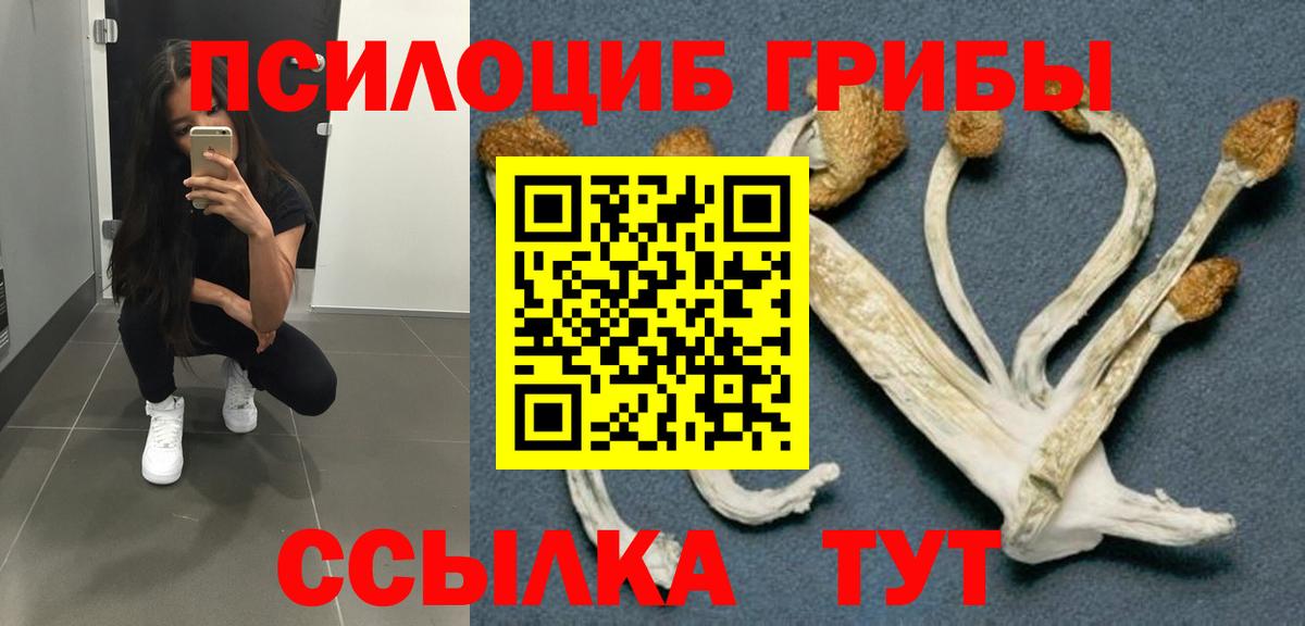 Псилоцибиновые грибы GOLDEN TEACHER Нижний Новгород