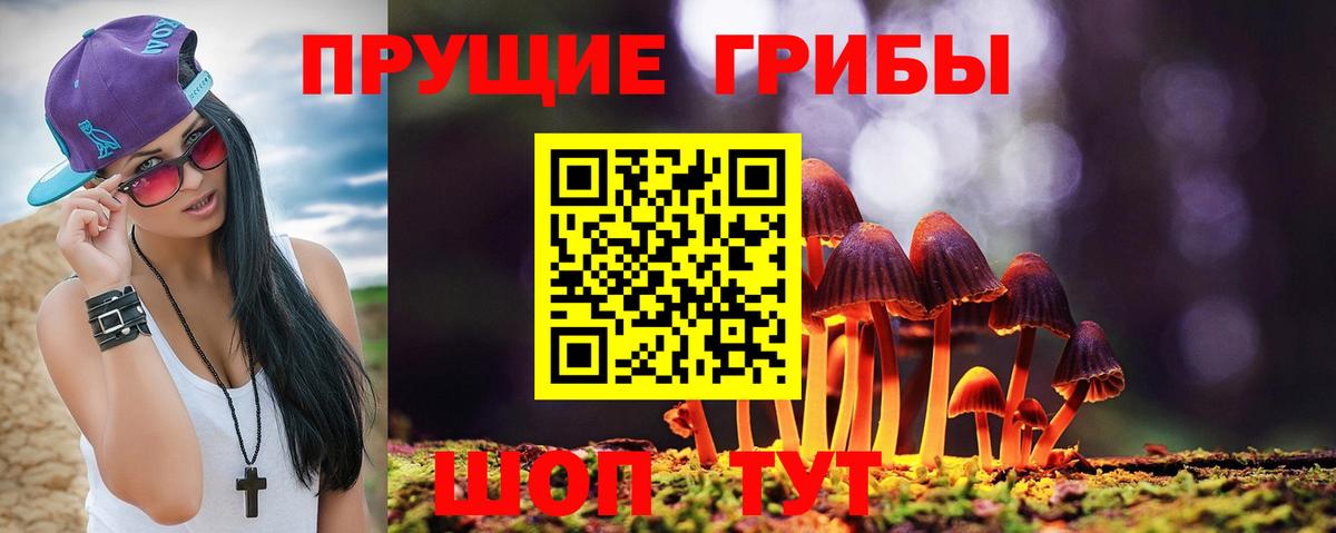Псилоцибиновые грибы ЛСД  как найти закладки  Нижний Новгород  Вход с VPN 