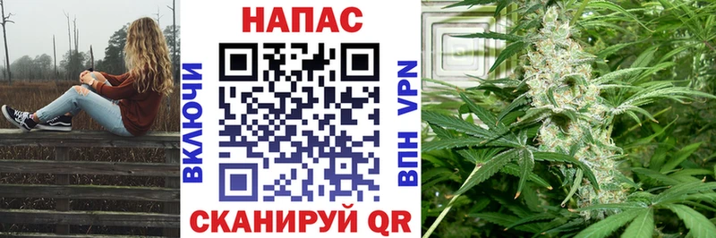 Марихуана планчик Нижний Новгород